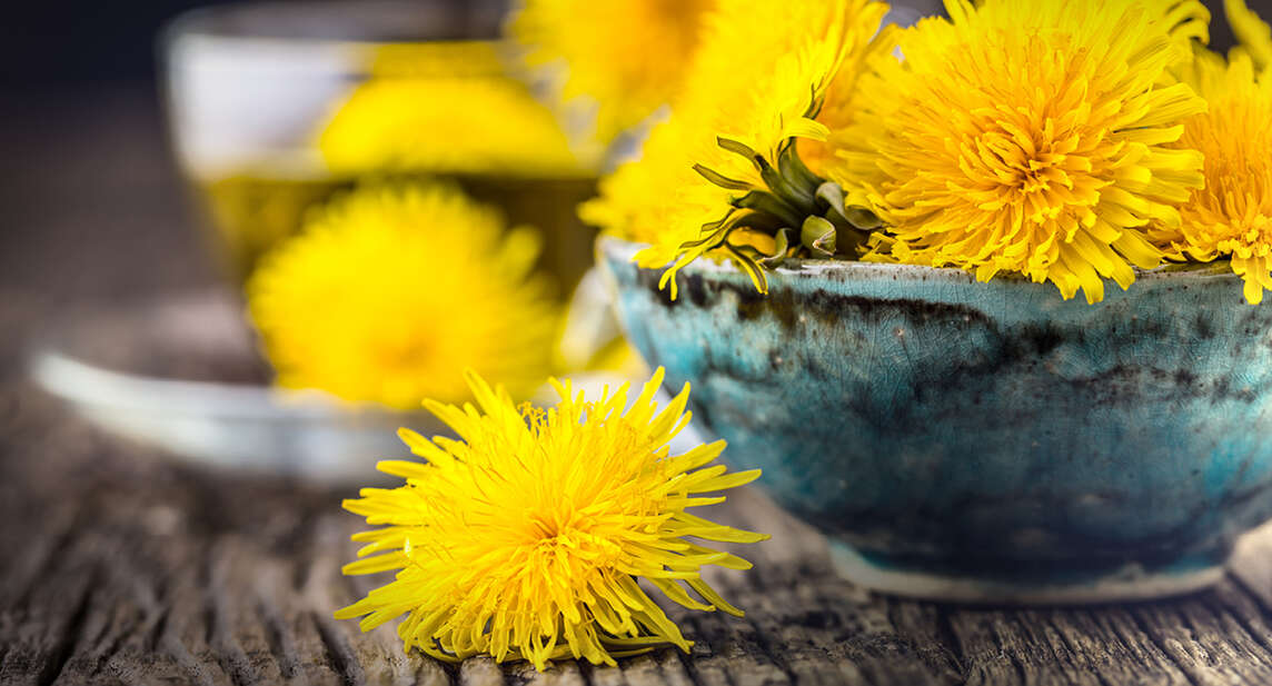 Fiori di Tarassaco