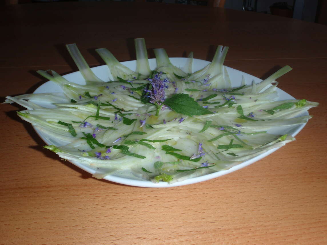 Carpaccio di finocchio con fiori e foglie di agastache