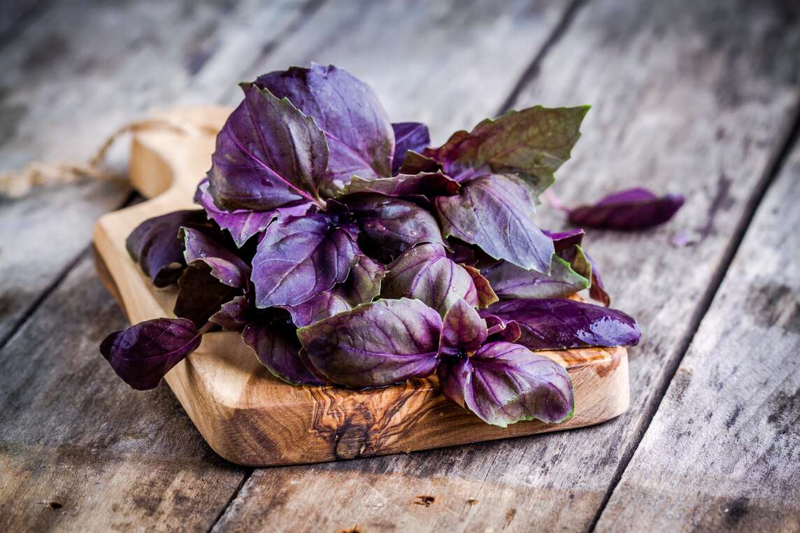 foglie di basilico rosso su tavola di legno