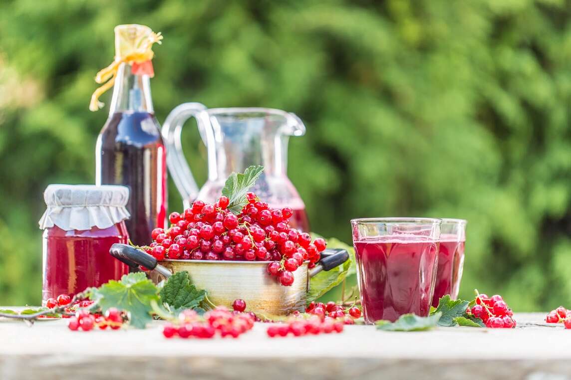 Ribes fresco, succo di ribes e gelatina in tavola