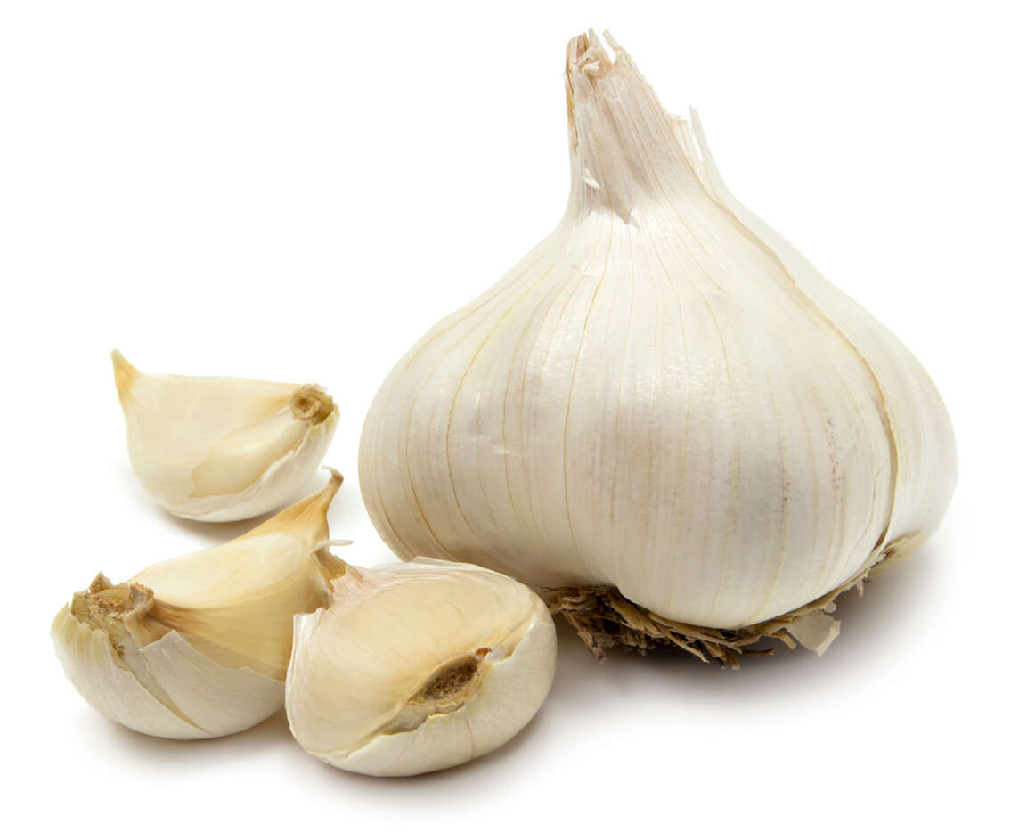 Knoblauch Knolle und Zehen vor weissem Hintergrund