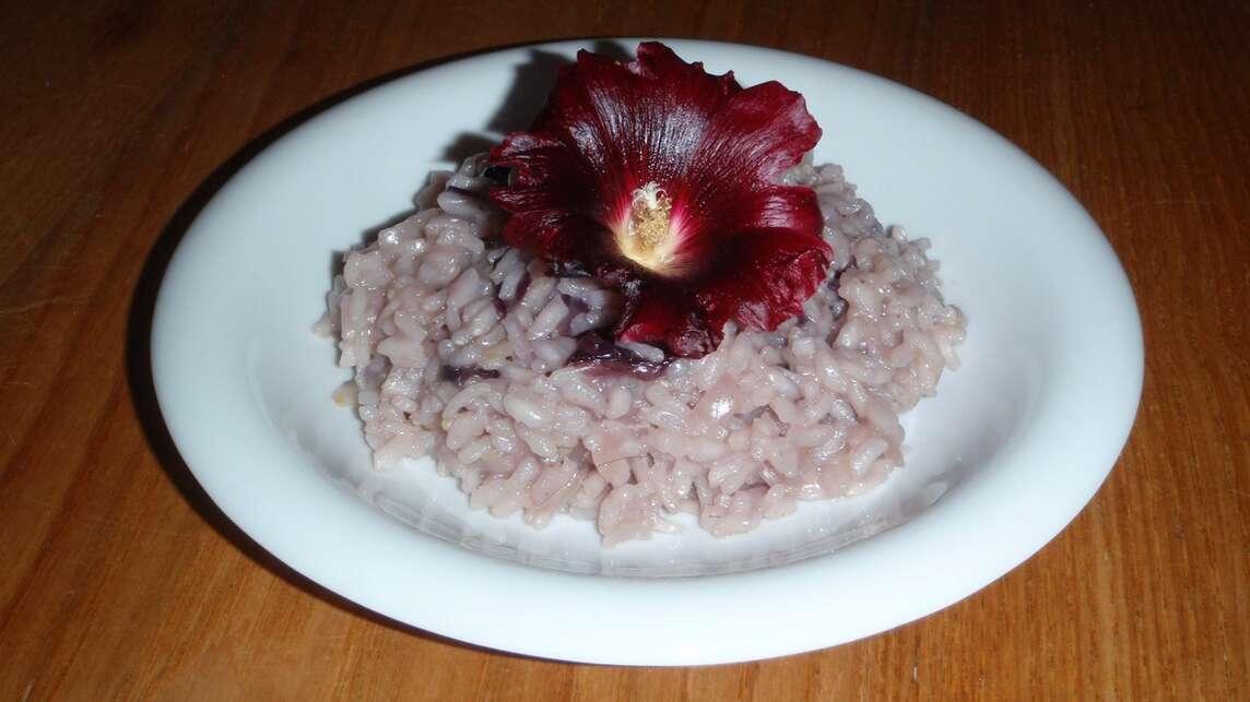 Risotto con fiori di malva al piatto