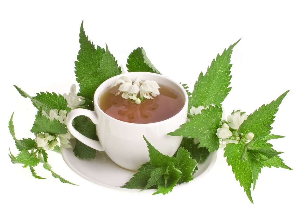 Foglie e fiori di deadnettle bianca, tazza con tè