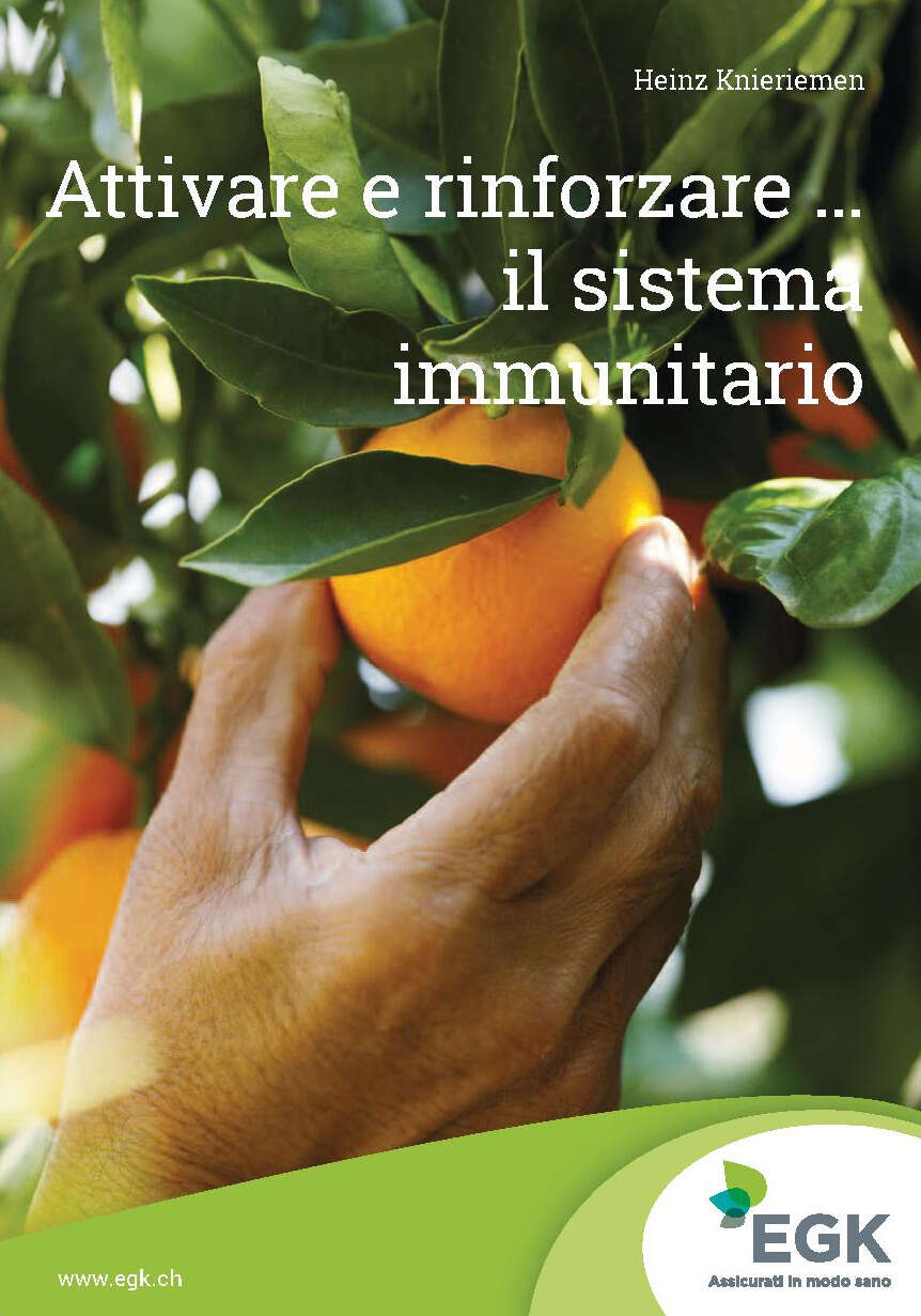 Attivare e rinforzare... il sistema immunitario